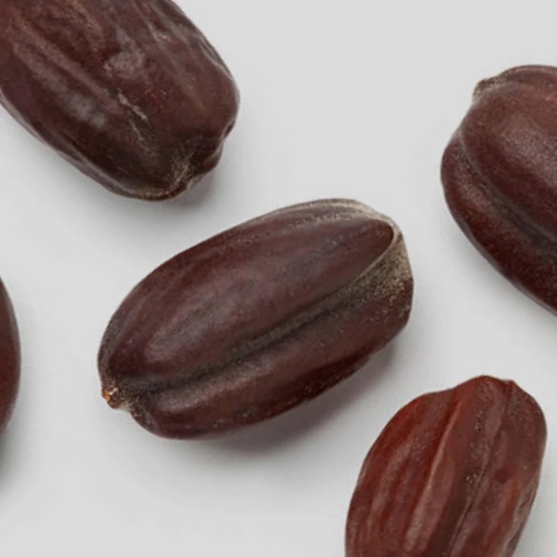 bio składniki - witaminy A B D E