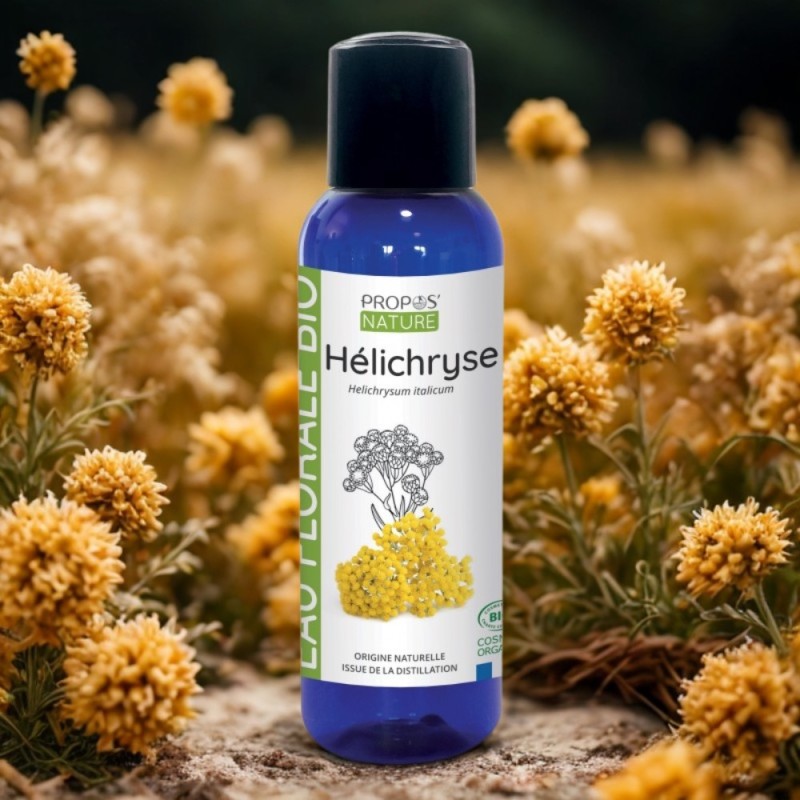 hydrolat z nieśmiertelnika