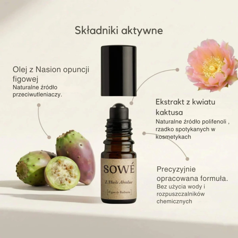 Opis działania składników aktywnych olejowego serum z opuncji figowej Sowe