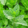 ŻEL POD PRYSZNIC "HERBAL RAIN"
