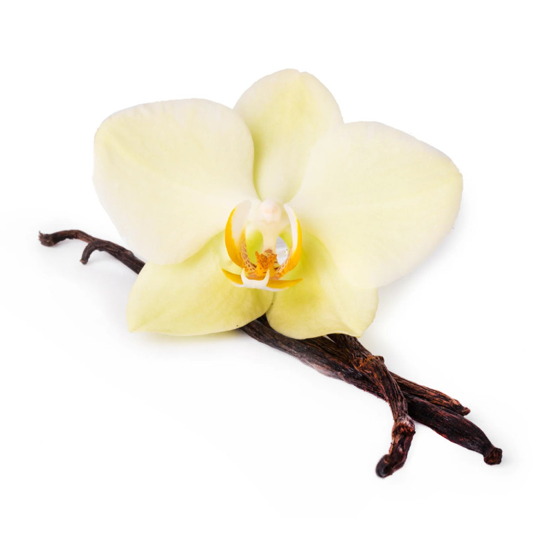 Balsam do Ust "Vanilla" – 100% Organicznych składników. Naturalna Pielęgnacja