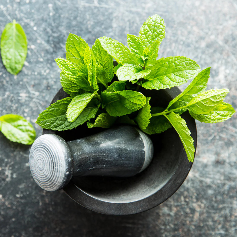 Organiczny Balsam do Ust "Mint" - Odświeżająca Mięta