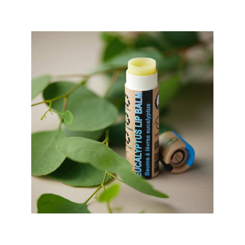 🌿 100% Naturalny balsam do ust z eukaliptusem – Earth Sense Organics
