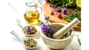 Składniki pod Lupą - Encyklopedia Natury